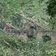 Bei einem Unwetter stürzten zalhreiche Bäume um.  - Bild: Sebastian Kahnert/dpa