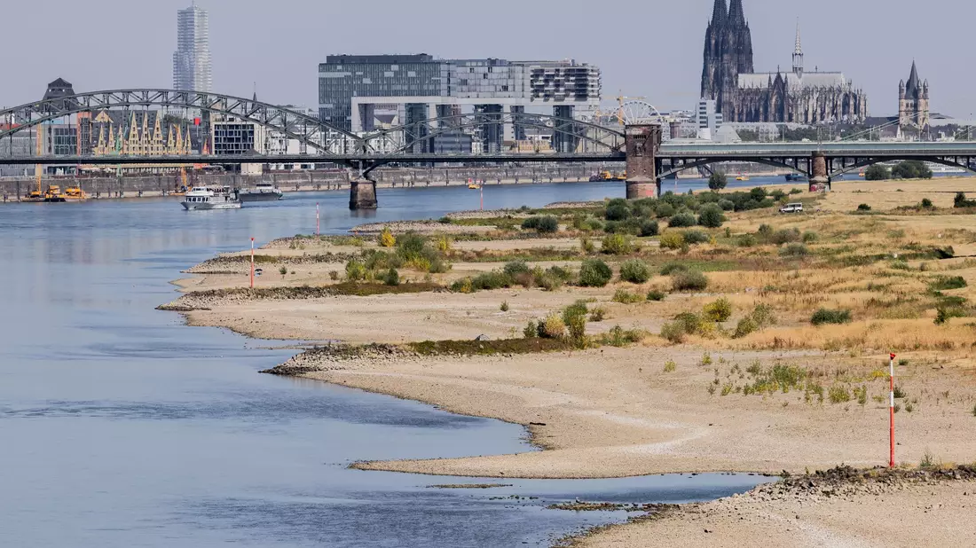 Blick auf Köln mit Sandbänken am Rhein. - Bild: Rolf Vennenbernd/dpa