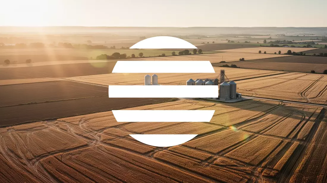 Bunge übertrifft Erwartungen: Gewinnsprung und angehobene Prognose für 2026