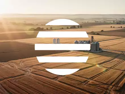 Abstrakte Darstellung einer modernen Agrarlandschaft bei Sonnenuntergang als Symbol für den Agrarsektor. - Foto: über boerse-global.de