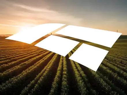 Weite, moderne Agrarlandschaft bei Sonnenuntergang als Symbol für die Agrarindustrie. - Foto: über boerse-global.de