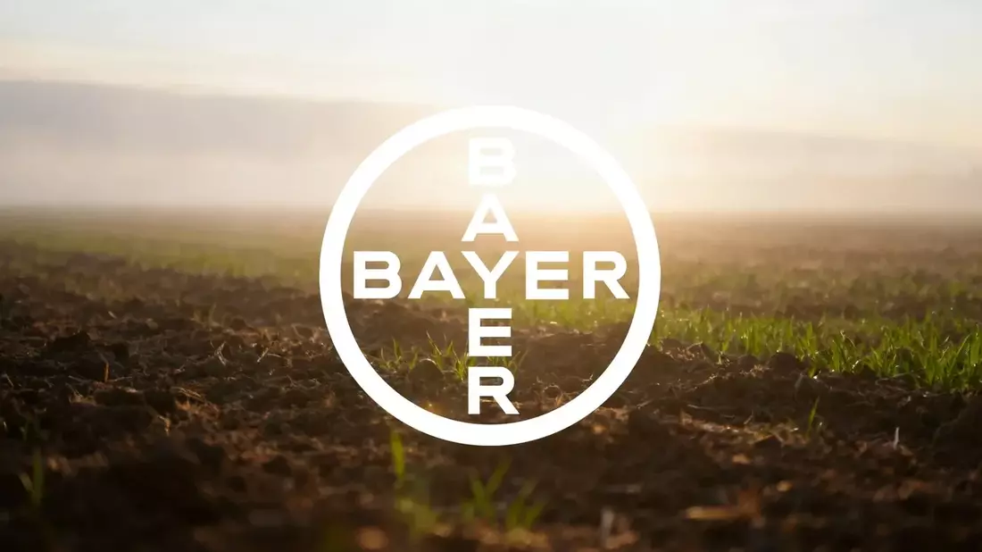 Bayer Stock Surges 78% on Supreme Court Glyphosate Win, Legal Shift
