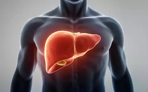 Abstrakte Darstellung der Lebergesundheit in einer klinischen Umgebung zur medizinischen Forschung. - Foto: über boerse-global.de