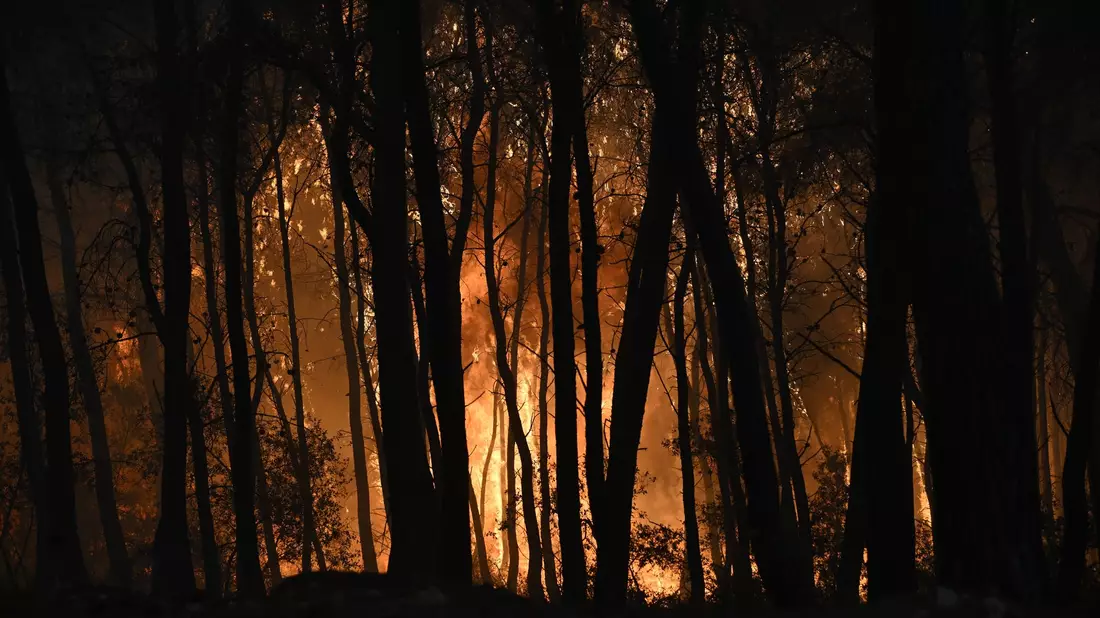 Es brennt die ganze Nacht. Die einzige Hoffnung: Dass der Wind abschwächt. - Bild: Michael Varaklas/AP/dpa