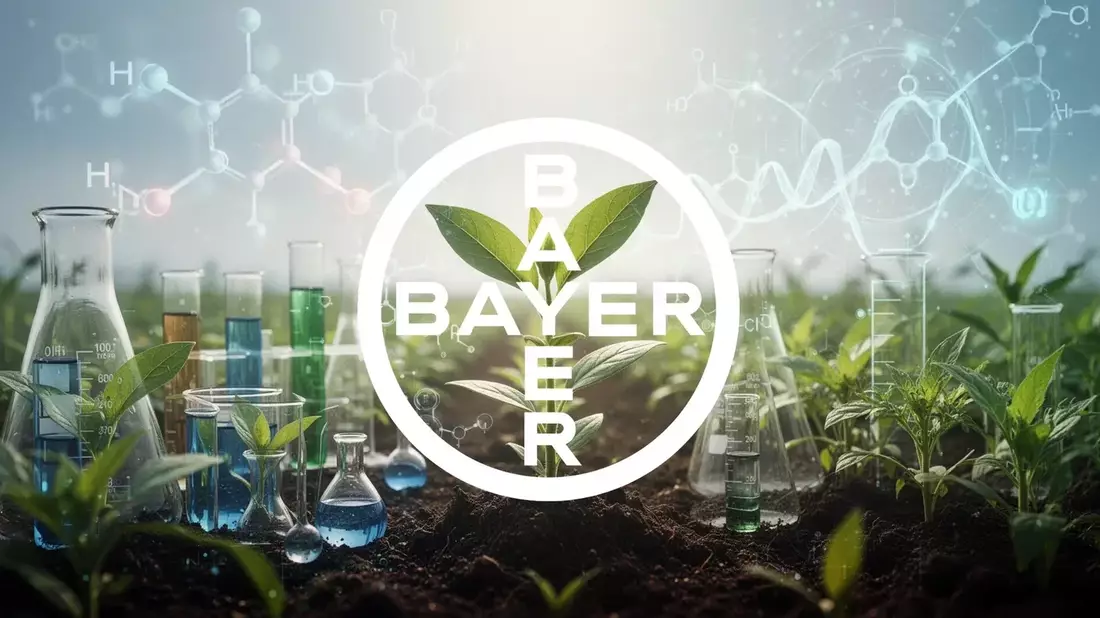 Bayer Stock Rally Faces Q2 Results and Legal Test in August