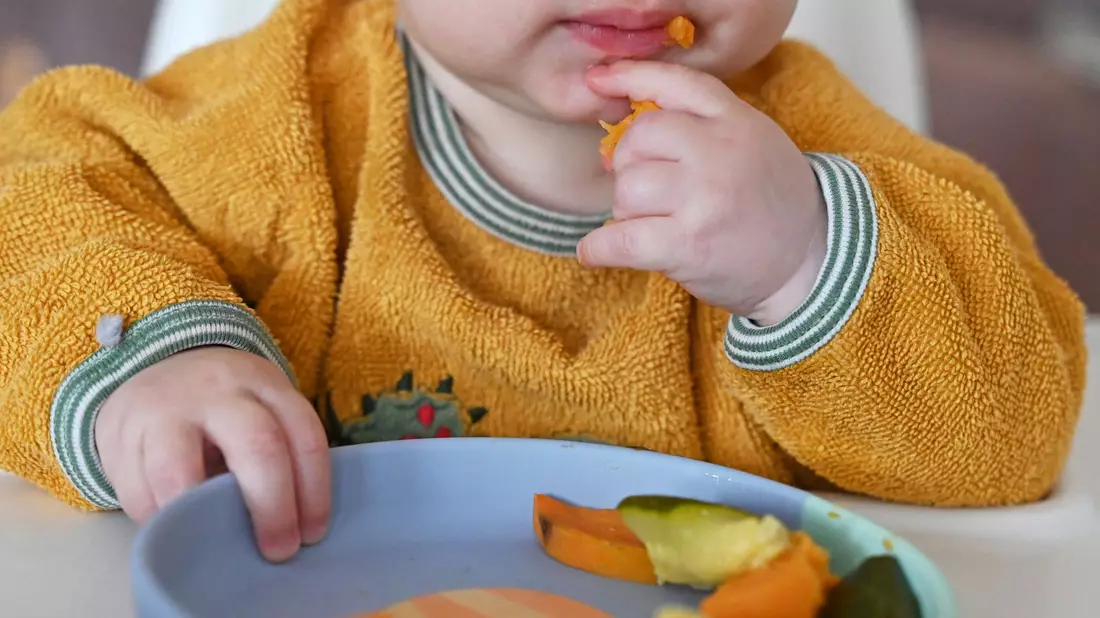Erst ab sechs Monaten sollen Babys erste Beikost erhalten. (Archivbild) - Bild: Elisa Schu/dpa
