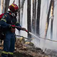 Hunderte Einsatzkräfte, darunter auch Feuerwehrleute aus Rumänien und Frankreich, kämpfen in der Nähe von Athen gegen einen Großbrand.  - Foto: Michael Varaklas/AP/dpa