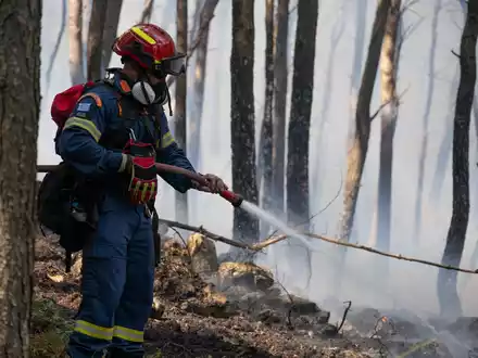 Hunderte Einsatzkräfte, darunter auch Feuerwehrleute aus Rumänien und Frankreich, kämpfen in der Nähe von Athen gegen einen Großbrand.  - Foto: Michael Varaklas/AP/dpa