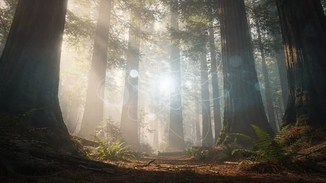 Redwood AI Stock Plunges 48% Amid Acquisition Silence and IR Contract Expiry