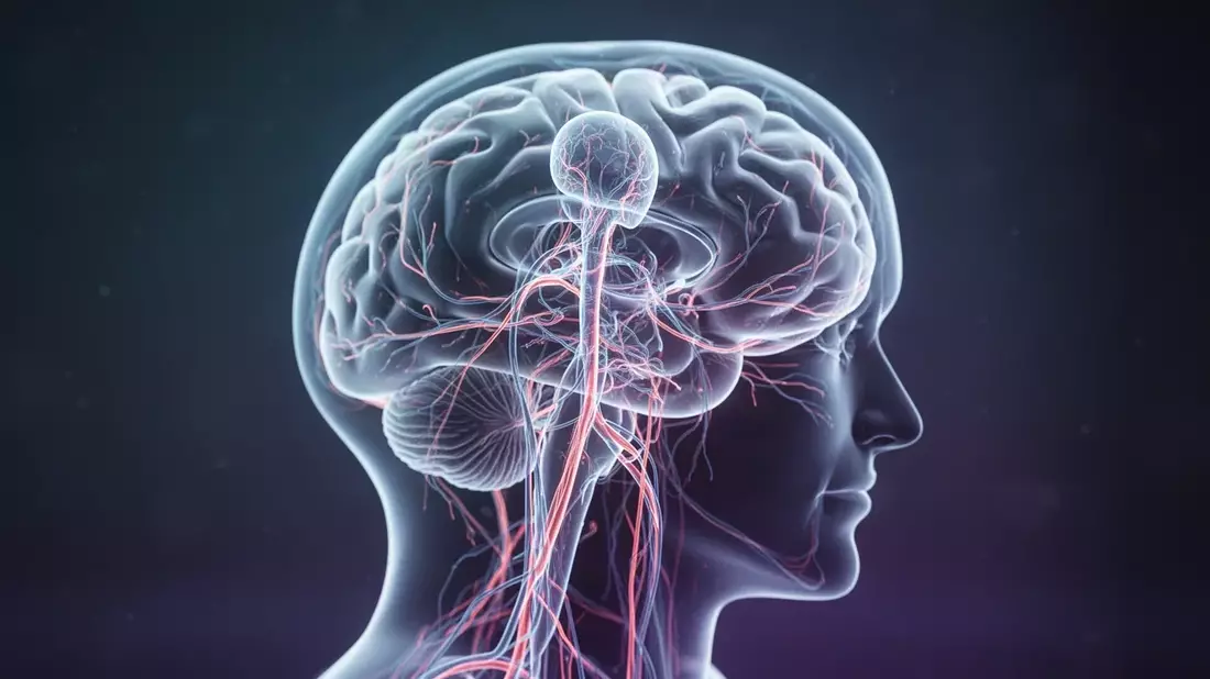 Fibromyalgie-Studie: 26 Risiko-Gene belegen Nervensystem-Störung