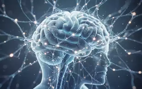 Abstrakte Darstellung eines menschlichen Nervensystems und neuronaler Vernetzungen in einem medizinischen Forschungskontext. - Foto: über boerse-global.de