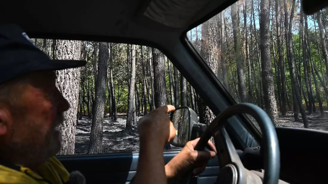 Ein Großteil seines Landes ist verbrannt, erzählt Waldbauer Monchaux. - Bild: Katharina Kausche/dpa