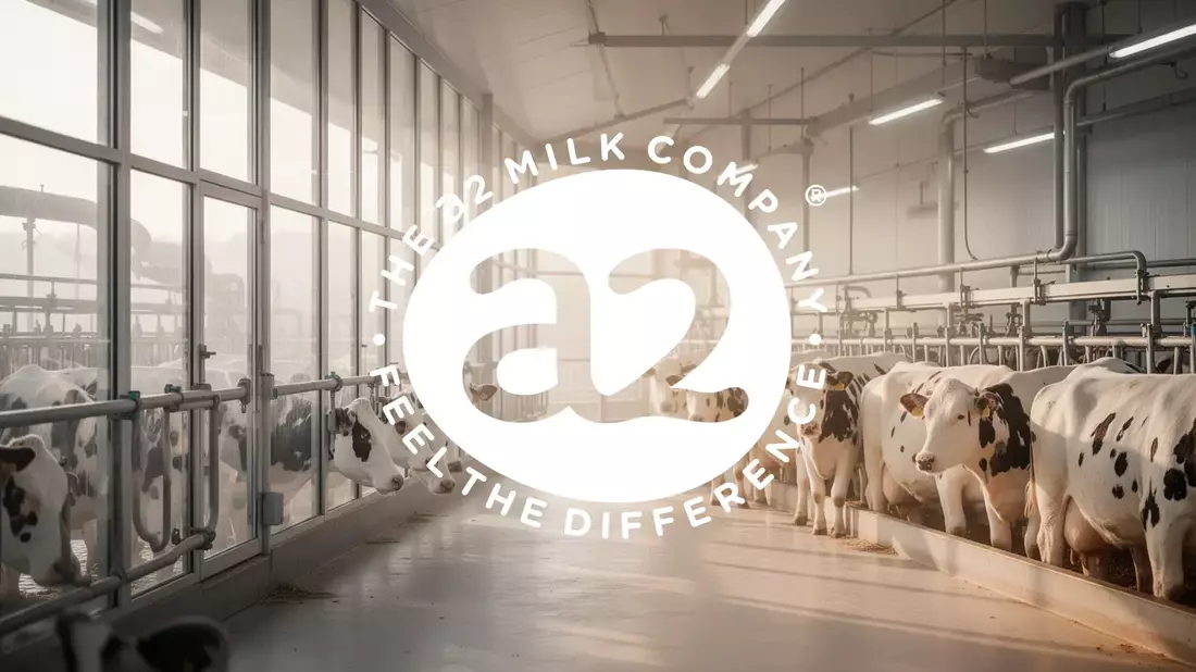 A2 Milk Aktie: Jahreszahlen im August als kritischer Test für die Erholung