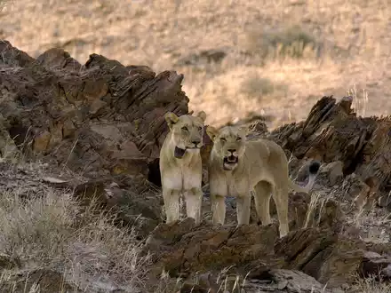  - Foto: Matto Barfuss Stiftung über pressetext.de