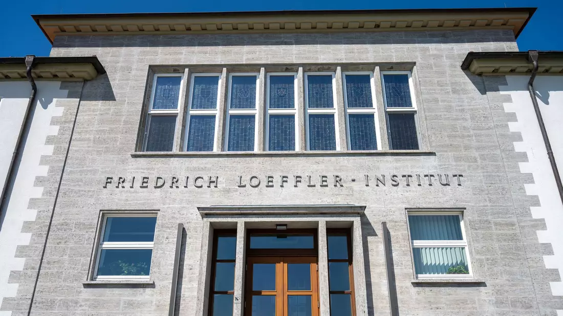 Das Friedrich-Loeffler-Institut hat einen bislang unbekannten Erreger untersucht und weiter charakterisiert. (Symbolbild) - Bild: Stefan Sauer/dpa