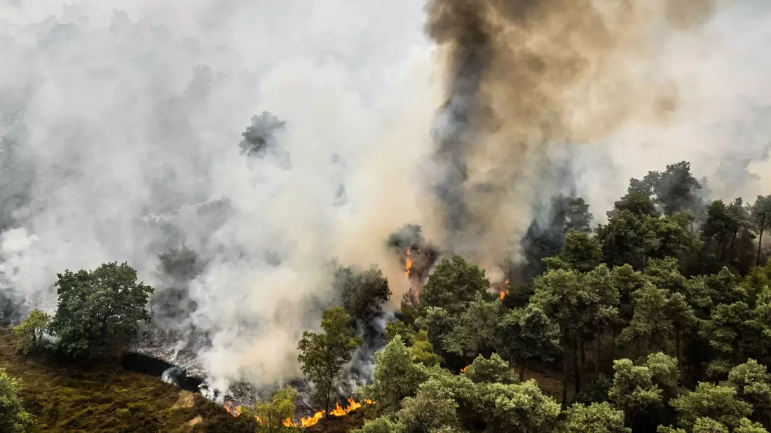 Nach anhaltender Trockenheit breiten sich die Flammen im Naturschutzgebiet De Rosmolen schnell aus. - Bild: Rob Engelaar/ANP/dpa