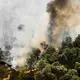 Nach anhaltender Trockenheit breiten sich die Flammen im Naturschutzgebiet De Rosmolen schnell aus. - Bild: Rob Engelaar/ANP/dpa
