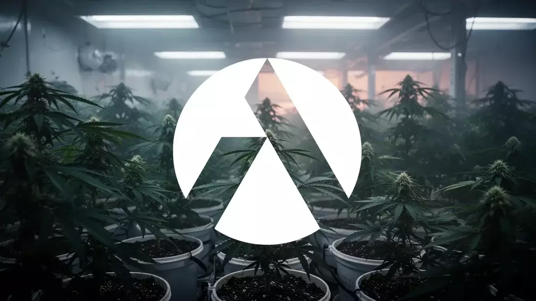 Tilray Q4 FY2024: Revenue Hits $915M, Net Loss Misses Estimates