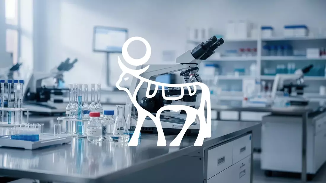 Novo Nordisk vor Quartalszahlen: ZEUS-Rückschlag und Wegovy-Pille im Fokus