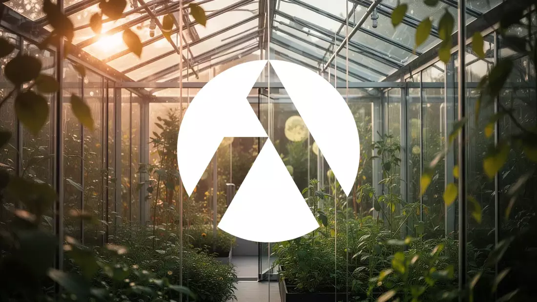 Tilray-Aktie: Options-Handel steigt vor US-Cannabis-Neueinstufung
