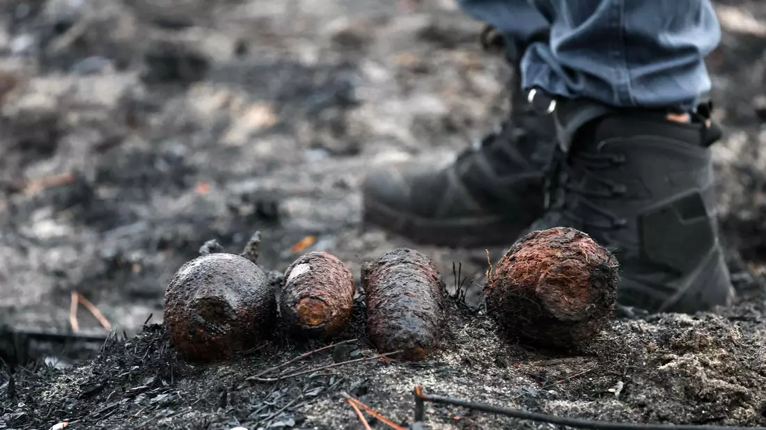 Kampfmittelräumer haben alte Granaten in dem großen Waldbrandgebiet an der französischen Atlantikküste gefunden. - Bild: Romain Perrocheau/AFP/dpa