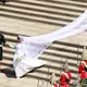 Noch alles harmonisch: Die Hochzeit von Harry und Meghan. (Archivbild) - Bild: Andrew Matthews/PA Wire/dpa