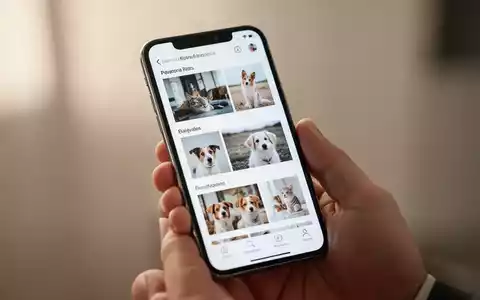 Nahaufnahme eines modernen Smartphone-Bildschirms mit einer übersichtlichen Fotogalerie-Oberfläche. - Foto: über boerse-global.de