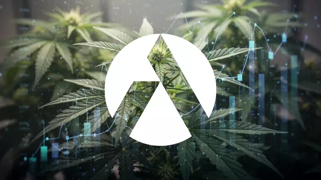 Tilray Options Surge as DEA Cannabis Rescheduling Deadline Looms