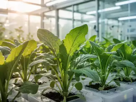 Nahaufnahme gesunder Nutzpflanzen in einem modernen Agrar-Forschungslabor zur Biofortifizierung. - Foto: über boerse-global.de
