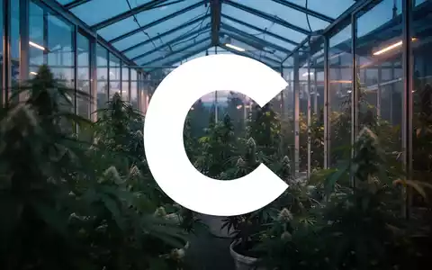 Abstrakte Darstellung einer modernen Gewächshaus-Architektur in gedimmtem Licht, symbolisch für die Cannabis-Branche. - Foto: über boerse-global.de