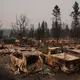 Großflächige Zerstörung durch Feuer gibt es im US-Bundesstaat Washington. - Bild: Lindsey Wasson/AP/dpa