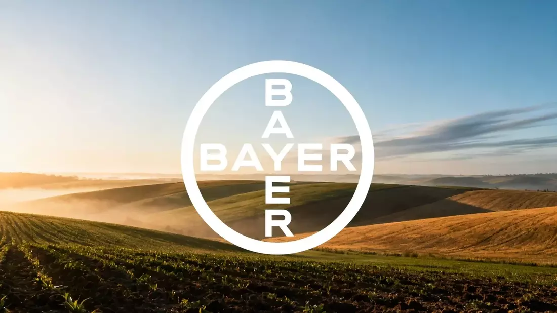 Bayer H1 Report: Q2 Earnings Test Turnaround Amid Debt and Legal Risks