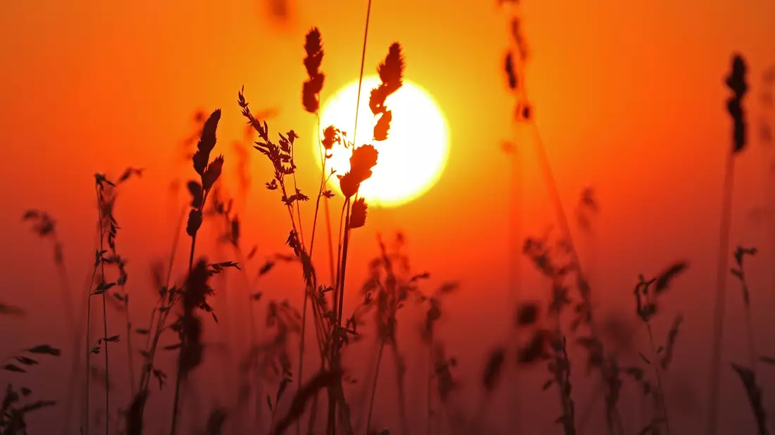 Bevor der Wetterumschwung kommt, soll es noch einmal heiß werden.  - Bild: Matthias Bein/dpa