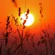 Bevor der Wetterumschwung kommt, soll es noch einmal heiß werden.  - Bild: Matthias Bein/dpa