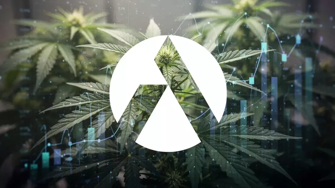 Tilray Options Signal Turn as Beverages Drive Revenue Shift