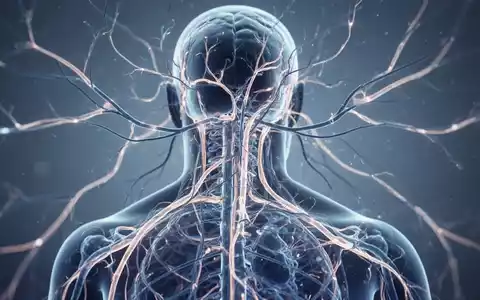 Abstrakte Visualisierung des menschlichen Nervensystems als Symbol für die Erforschung der Fibromyalgie-Pathogenese. - Foto: über boerse-global.de