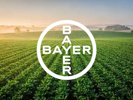 Moderne, sonnendurchflutete Agrarlandschaft mit grünen Pflanzenreihen in einer professionellen, atmosphärischen Aufnahme. - Foto: über boerse-global.de