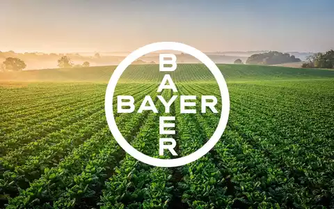 Moderne, sonnendurchflutete Agrarlandschaft mit grünen Pflanzenreihen in einer professionellen, atmosphärischen Aufnahme. - Foto: über boerse-global.de