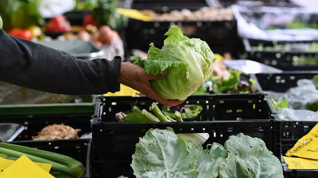 Behörden in den USA bringen einen Ausbruch in neun Bundesstaaten mit Eisbergsalat in Verbindung. (Symbolbild) - Bild: Arne Dedert/dpa
