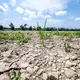 Rissiger Boden statt fließendem Strom: die Donau schon Mitte Juli.  - Bild: Armin Weigel/dpa