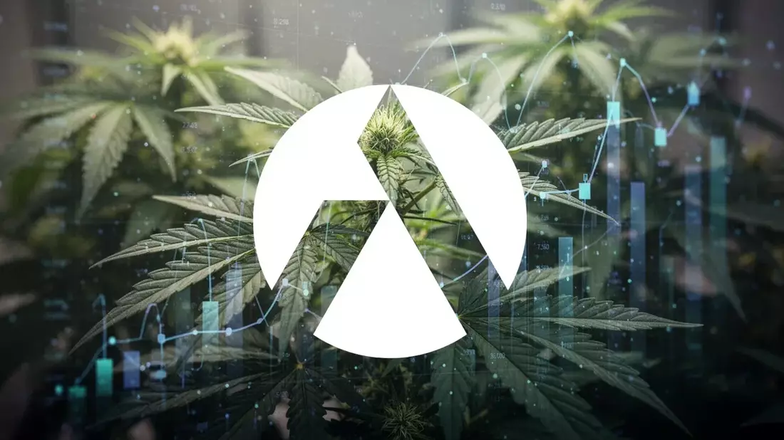 Tilray Stock Rally vs. Dilution: Record Revenue, Negative Cash Flow