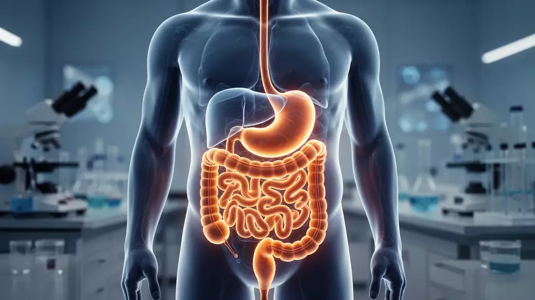 Stuhlgangfrequenz als Gesundheitsindikator: Neue Studie zeigt Risiken