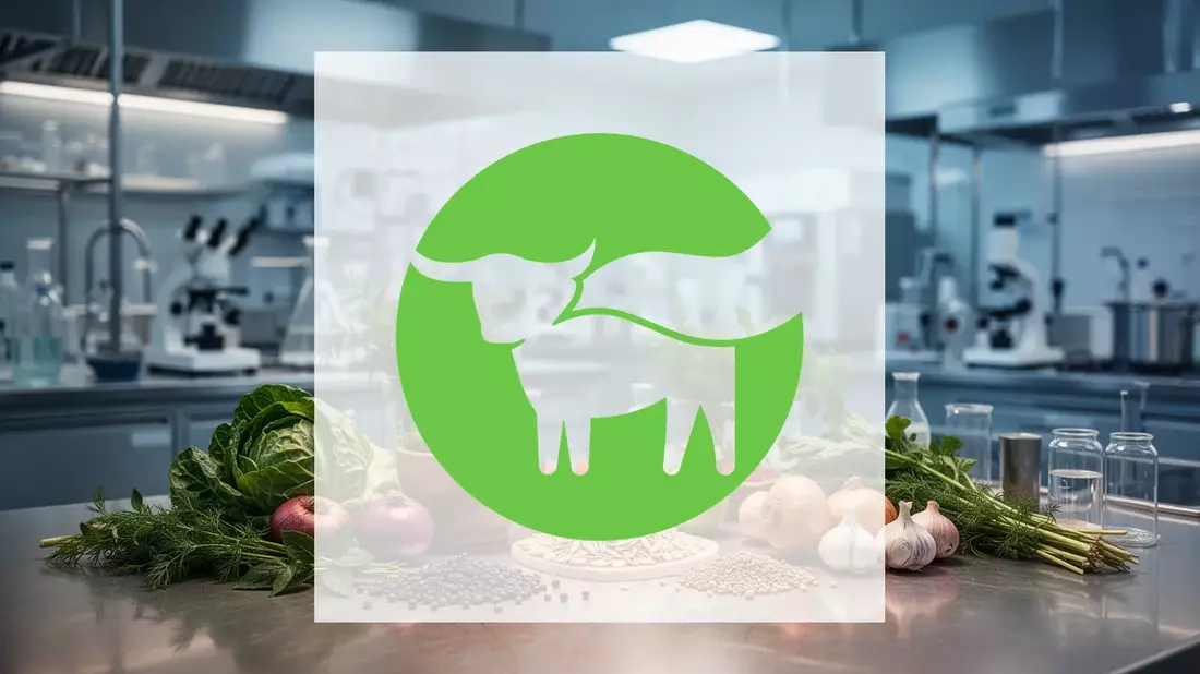 Beyond Meat: Quartalszahlen als Gradmesser für die Aktienrallye