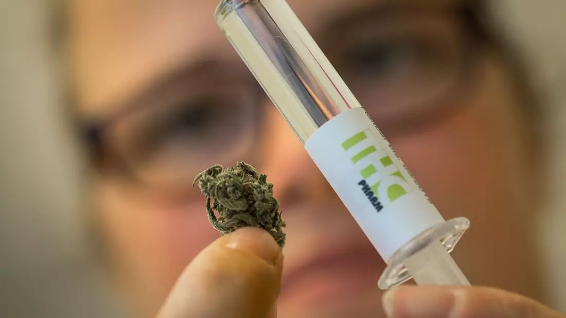Dronabinol (rechts) wird aus der Hanfpflanze gewonnen. Es enthält den Wirkstoff THC. (Archivbild) - Bild: picture alliance / dpa