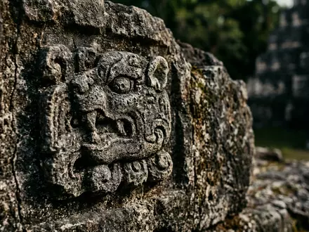 Extreme Makroaufnahme eines Materialdetails am Wahrzeichen Tikal in Flores Guatemala, taktile Struktur und weiches Seitenlicht - Foto: THN