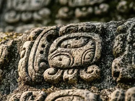 Extreme Makroaufnahme eines Materialdetails am Wahrzeichen Copan-Ruinen in Copan Ruinas Honduras, taktile Struktur und weiches - Foto: THN