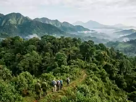 Editorialbild im Reisemagazin-Stil vom Wahrzeichen Bwindi Impenetrable National Park in Kabale Uganda, ausgewogene Bildgestaltung und - Foto: THN