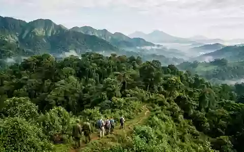 Editorialbild im Reisemagazin-Stil vom Wahrzeichen Bwindi Impenetrable National Park in Kabale Uganda, ausgewogene Bildgestaltung und - Foto: THN