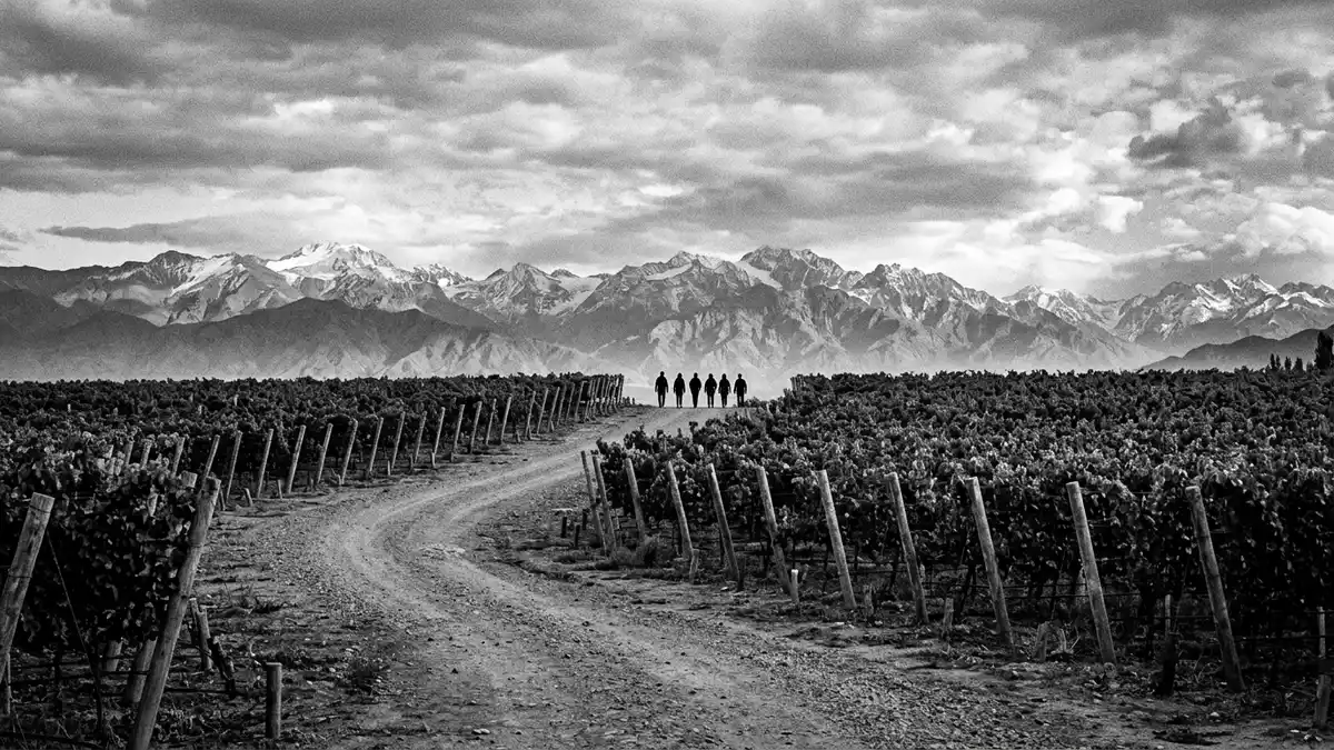 Schwarzweiss-Reportage vom Wahrzeichen Mendoza Weinregion in Mendoza, Argentinien