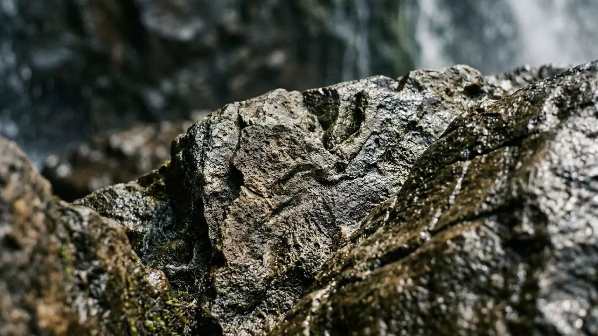 Makroaufnahme eines Materialdetails am Wahrzeichen Iguazu-Falle Argentinien, Puerto Iguazu A…